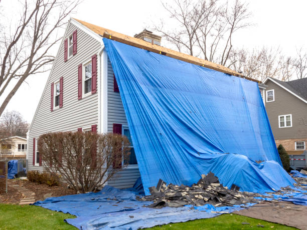 Best Steel Siding Installation  in Brookhaven, MS
